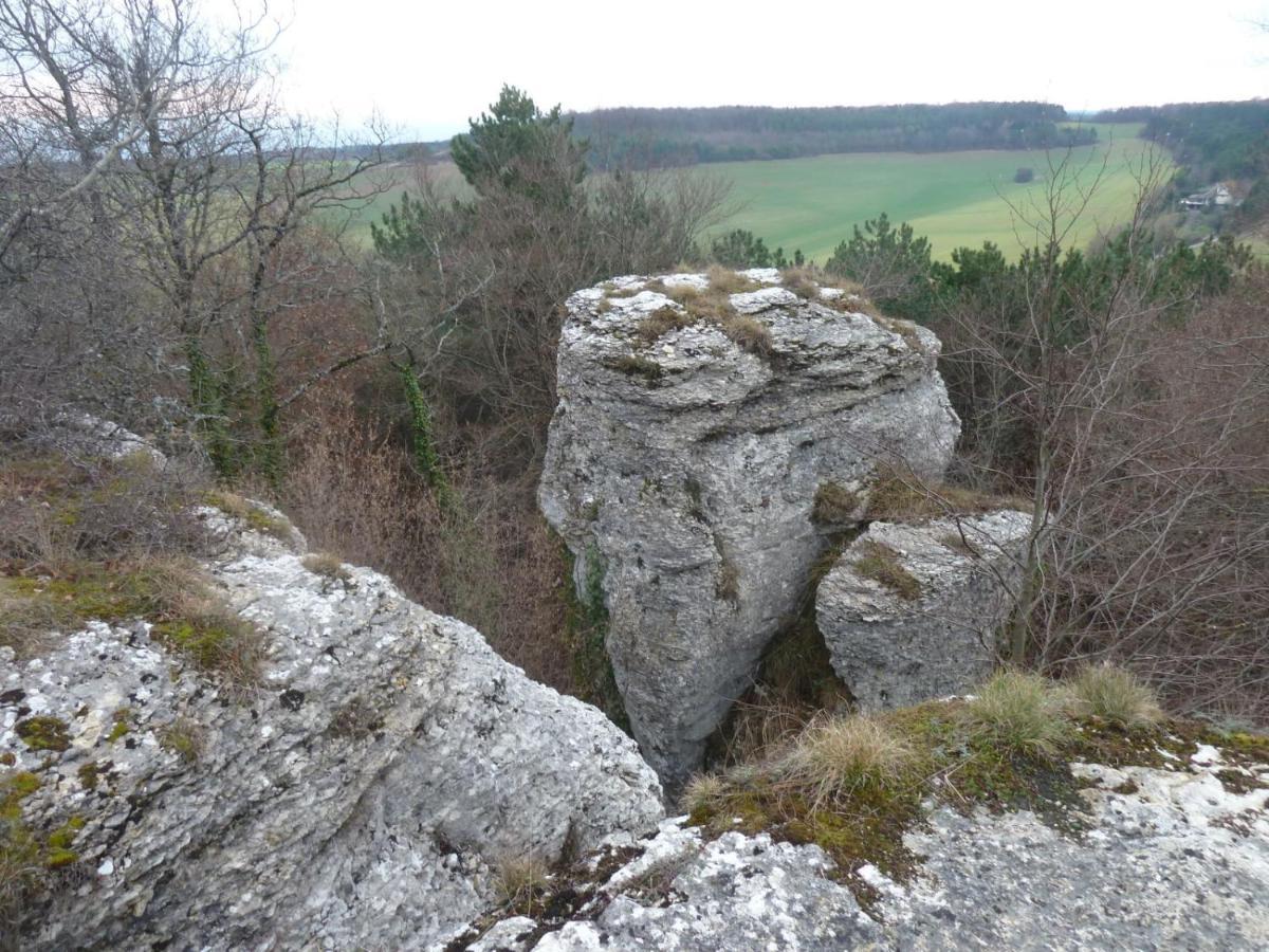 Le Flav - Charmant appartement à 10 mn de Dijon Flavignerot Esterno foto