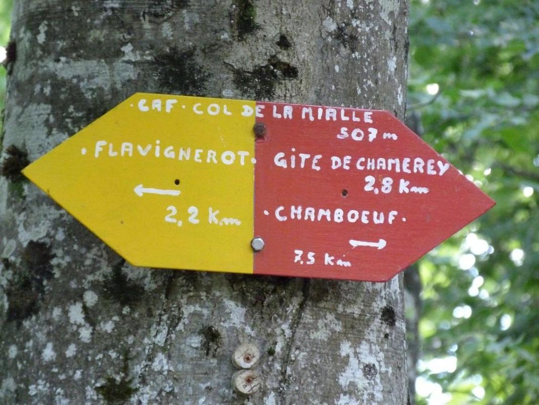 Le Flav - Charmant appartement à 10 mn de Dijon Flavignerot Esterno foto